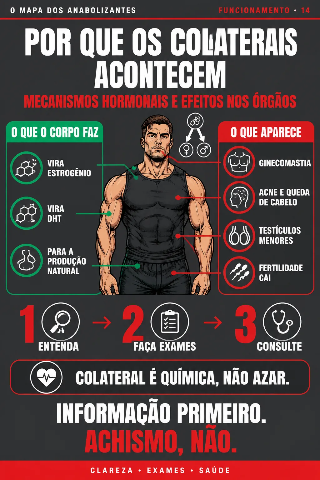 O MAPA DOS ANABOLIZANTES #14 — POR QUE OS COLATERAIS ACONTECEM