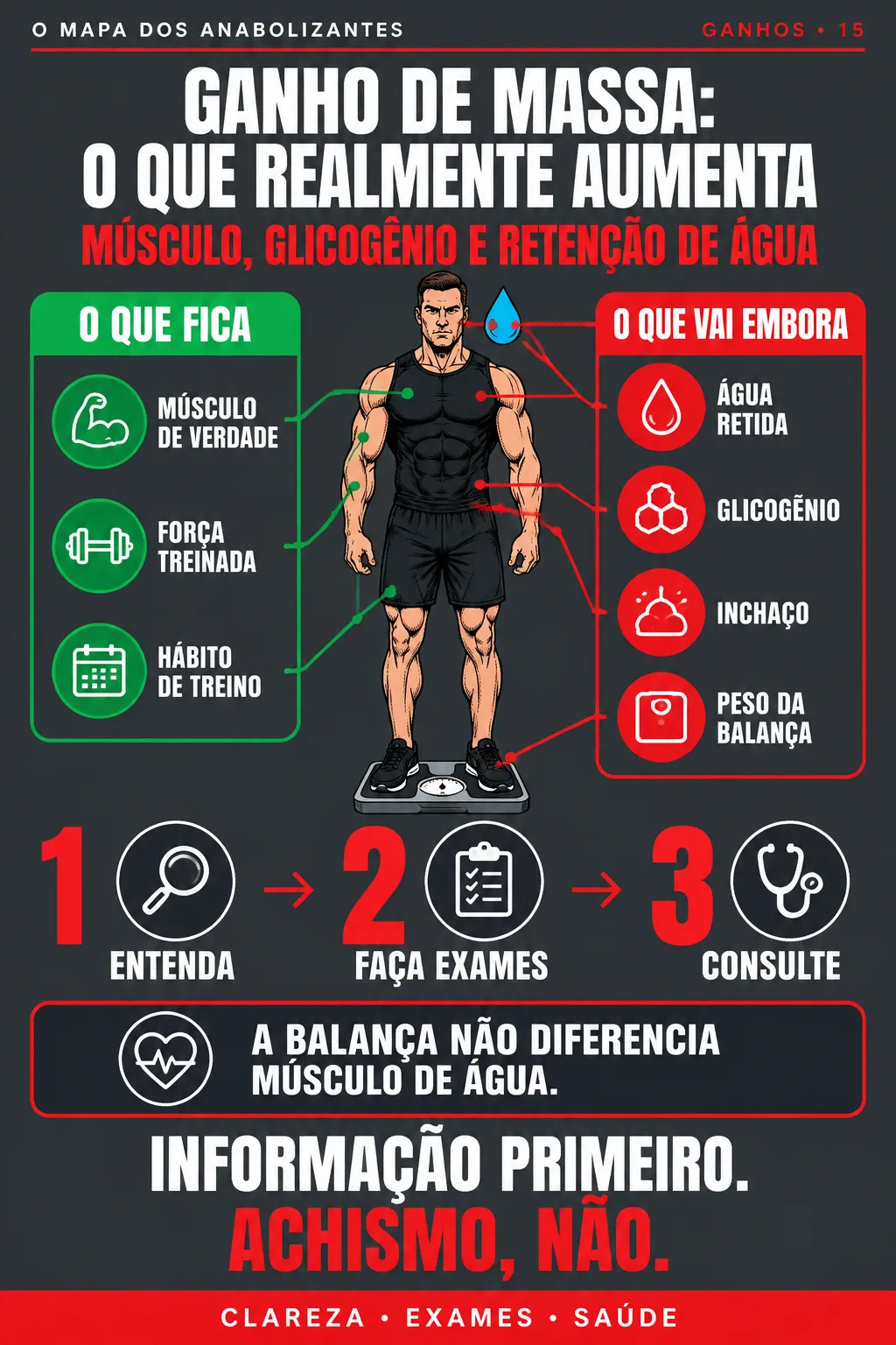 O MAPA DOS ANABOLIZANTES #15 — GANHO DE MASSA: O QUE REALMENTE AUMENTA